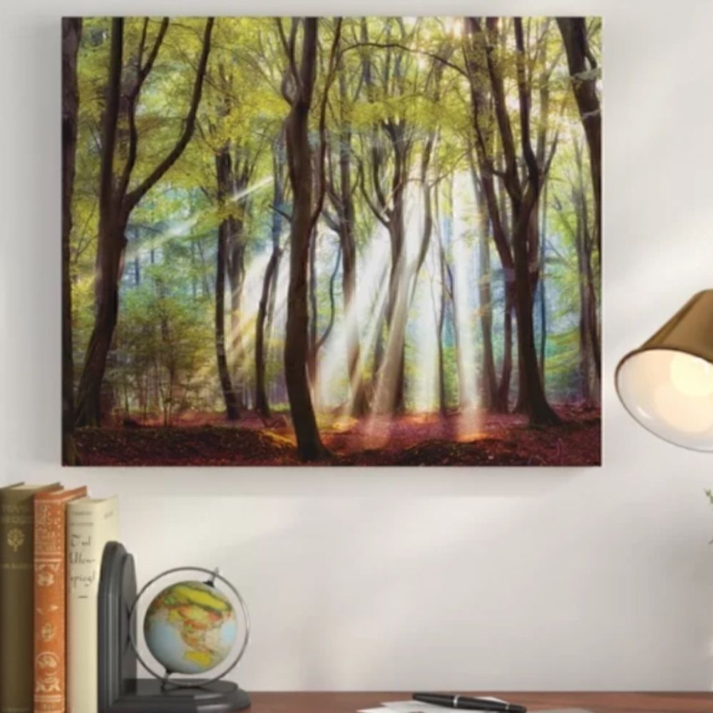 NWT Majestic morning canvas, painting. 24 inches H by 36 inches W by 1.5 D.